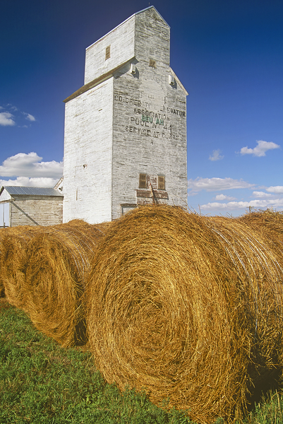 alfalfa bales in front of old grain elevator by Dave Reede Photohgraphy