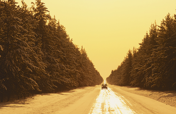 Wnter Road Print