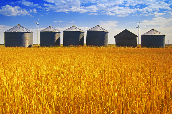 Old Grain Bins by Dave Reede Photohgraphy