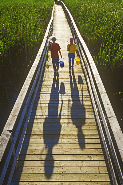A Day of Catching Marsh Life Print