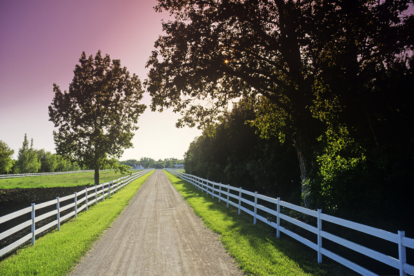 country road Print