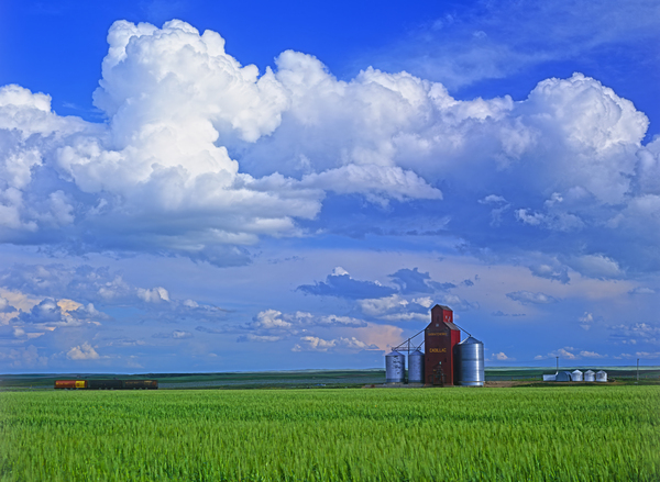  Cadillac Grain Elevator Print