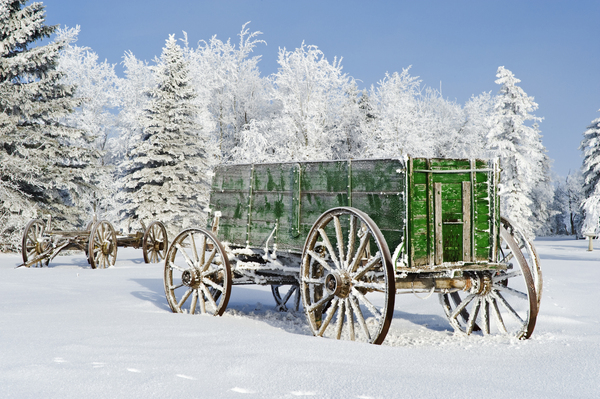 Wagon on a Frosty Day by Dave Reede Photohgraphy