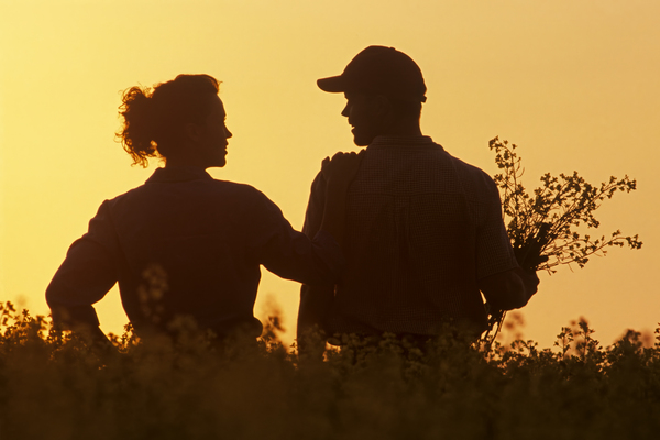 Couple in Canola by Dave Reede Photohgraphy