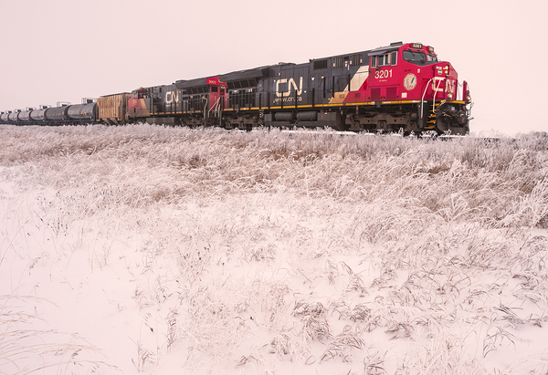 Winter Along the Railway by Dave Reede Photohgraphy
