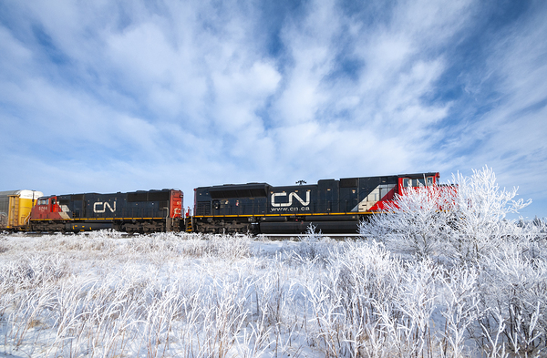 Train in Winter  1 by Dave Reede Photohgraphy