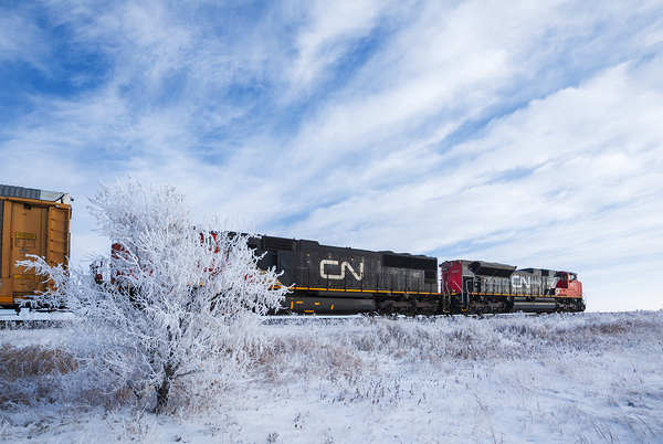 Train in Winter Print