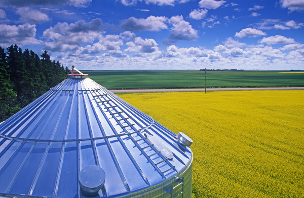 Looking Out Over Farmland by Dave Reede Photohgraphy