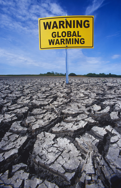 climate change Print