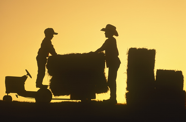 Farm Children Print