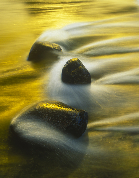 Flowing Gold Print