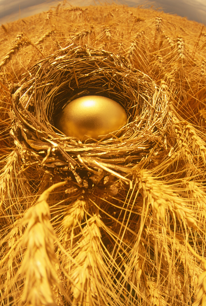 Golden Wheat Print