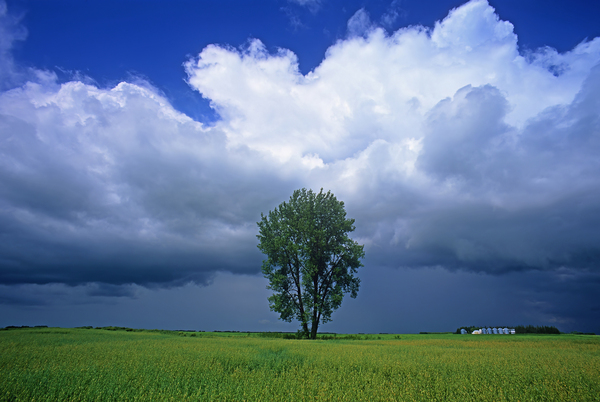Incoming storm Print
