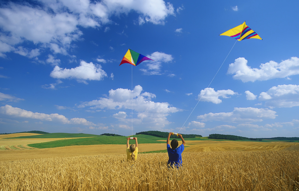 Kite Flying Print