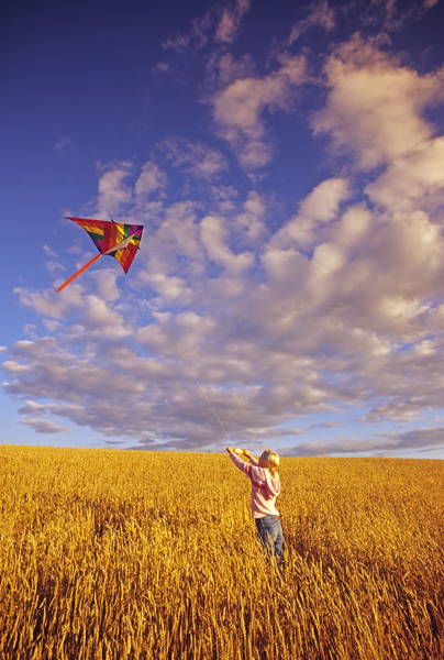 Kite Flying in a Wheat Field by Dave Reede Photohgraphy