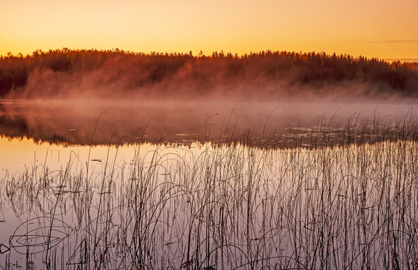 Misty Lake Print
