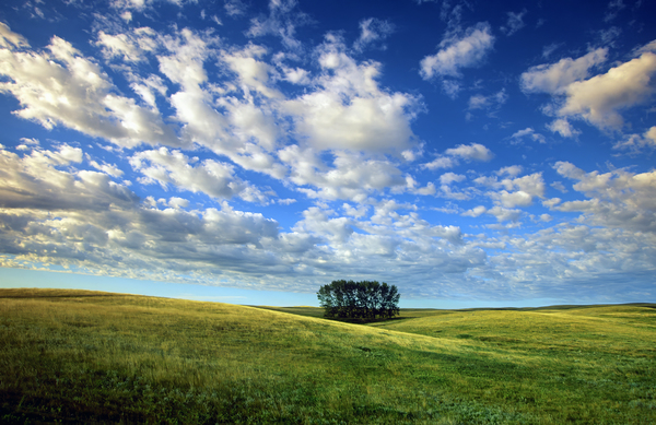 Open Prairie Print