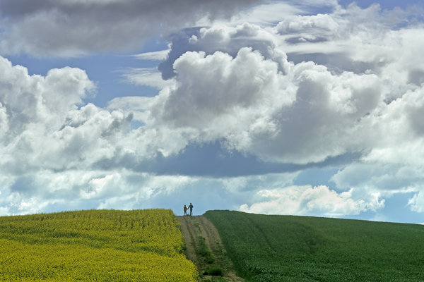 Running Down a Country Road by Dave Reede Photohgraphy