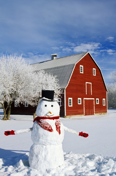 Snowman in Front of Red Barn by Dave Reede Photohgraphy