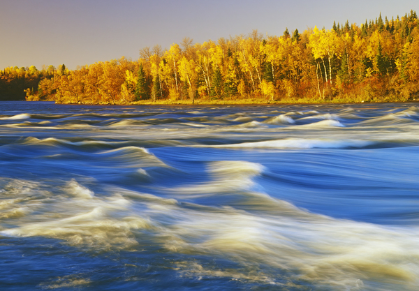 Sturgeon Falls Print
