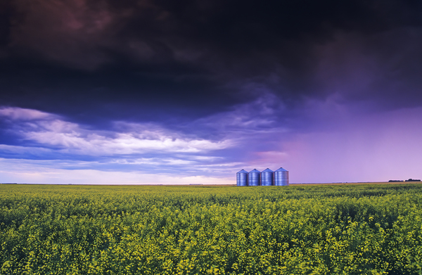 Summer Storm Print