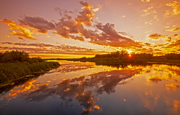 Sunset Over Marsh Imprimer