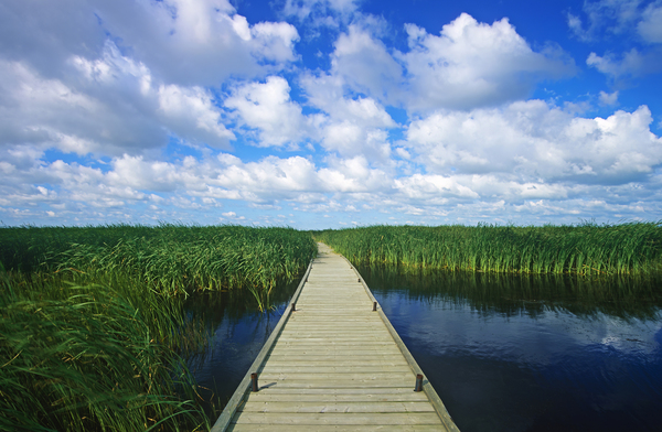 The Boardwalk Print