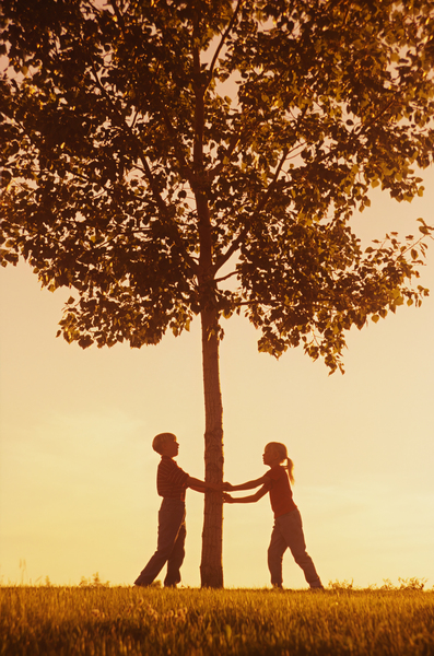 The Tree Print