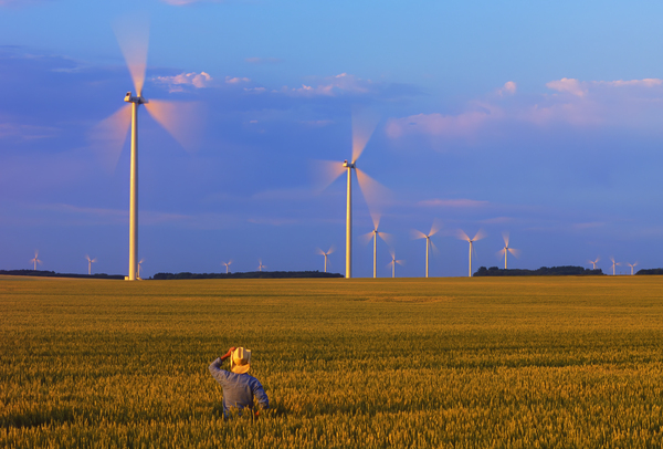 Wind Turbines Print