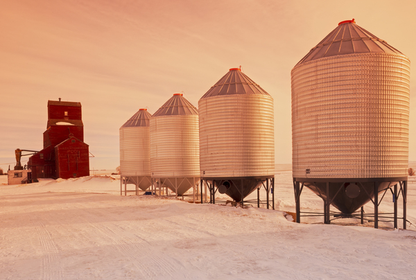 old grain elevator Print