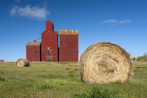 field with round hay bales and old grain elevator by Dave Reede Photohgraphy