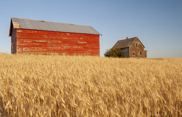abandoned farm house and barn  by Dave Reede Photohgraphy