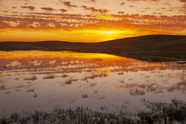 prairie slough by Dave Reede Photohgraphy
