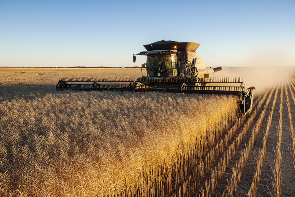 Bumper Harvest by Dave Reede Photohgraphy