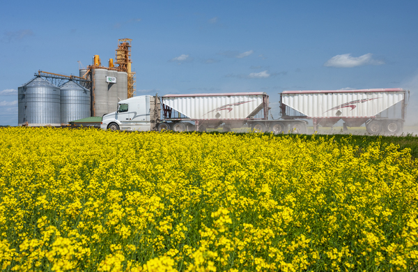Farm truck Hauling Crop to a Terminal by Dave Reede Photohgraphy
