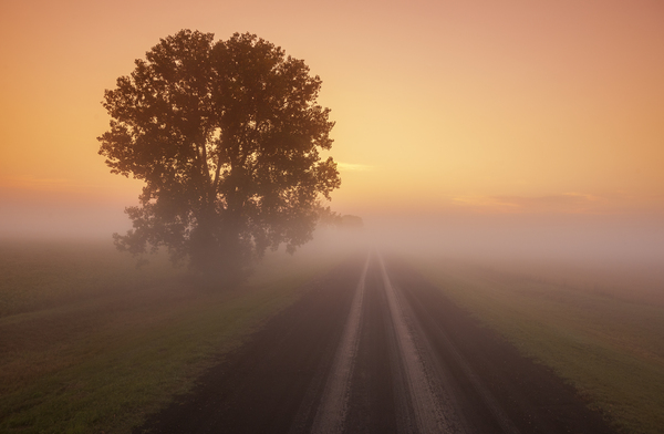 Early Morning On a Country Backroad by Dave Reede Photohgraphy