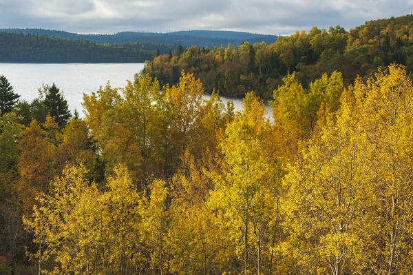 autumn colours Print