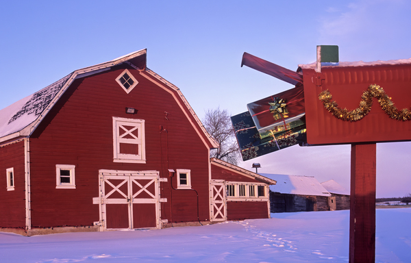Gifts in Mailbox by Dave Reede Photohgraphy
