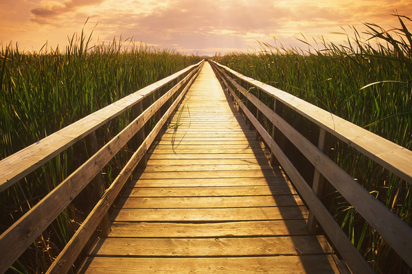 boardwalk Print
