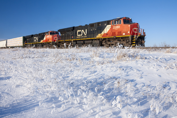 train in winter Print