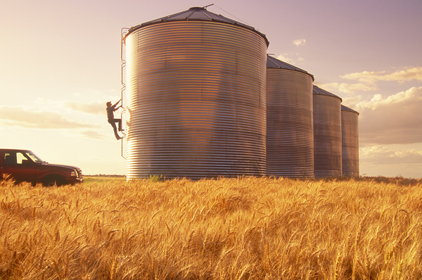 Farmer On Grain Bin by Dave Reede Photohgraphy