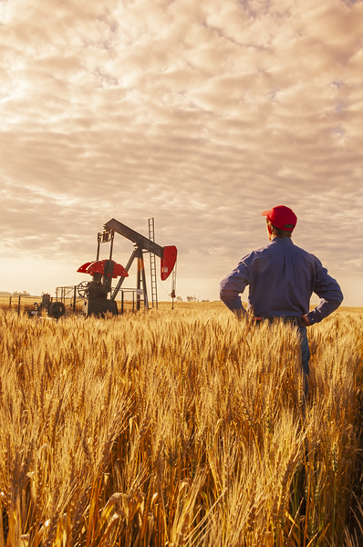Farmer in Wheat Field by Dave Reede Photohgraphy