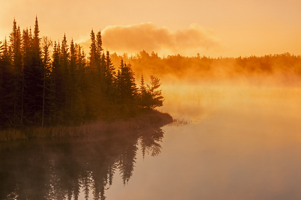Lyons Lake on a Misty Morning by Dave Reede Photohgraphy