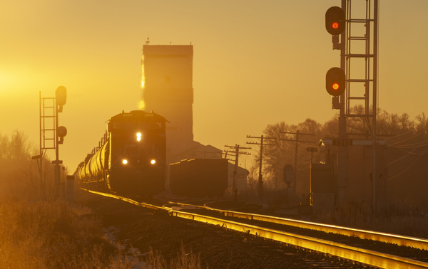 train passing a grain elevator Print