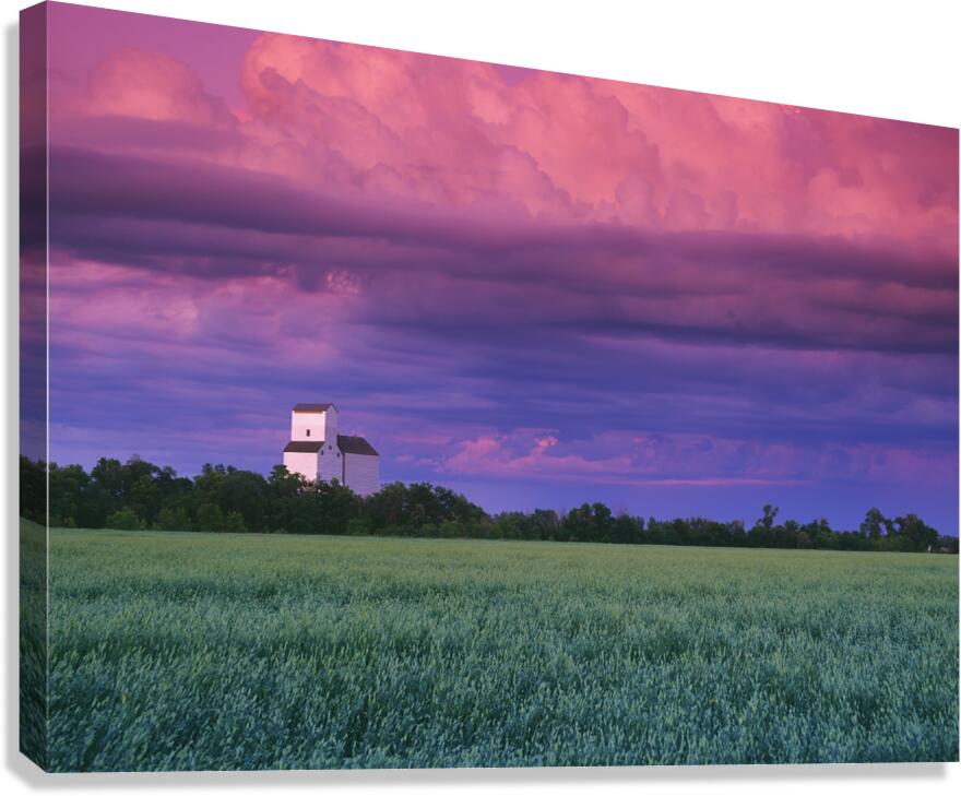 Grain Elevator  Canvas Print