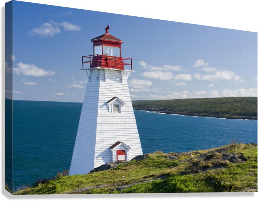 DR 12137 Canvas Print