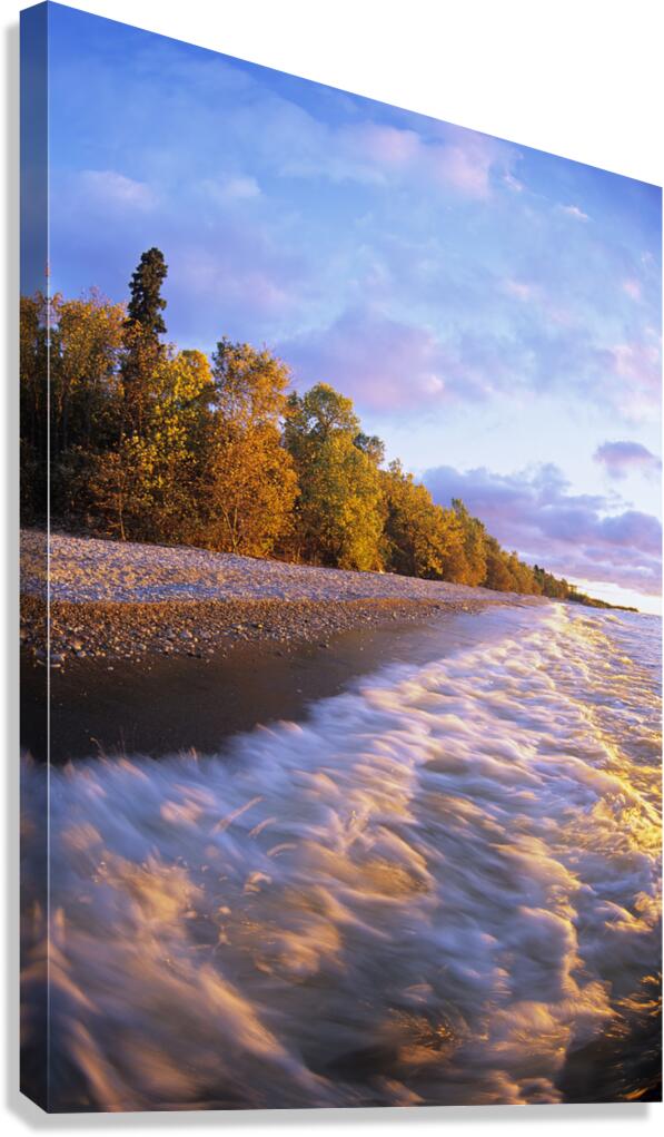 Hillside Beach  Canvas Print