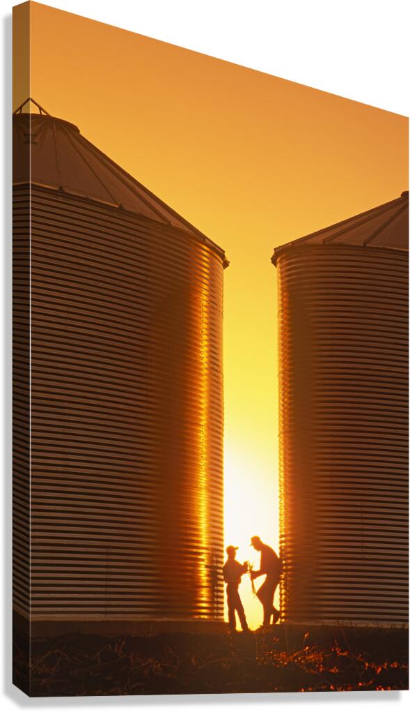 Father and Son Farmers Canvas Print