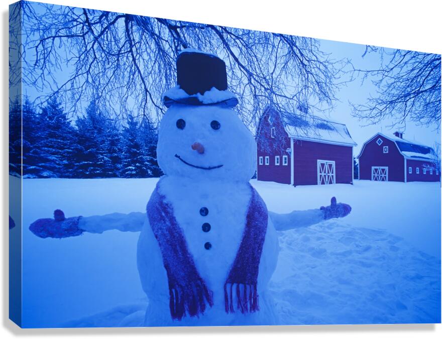snowman barn Canvas Print