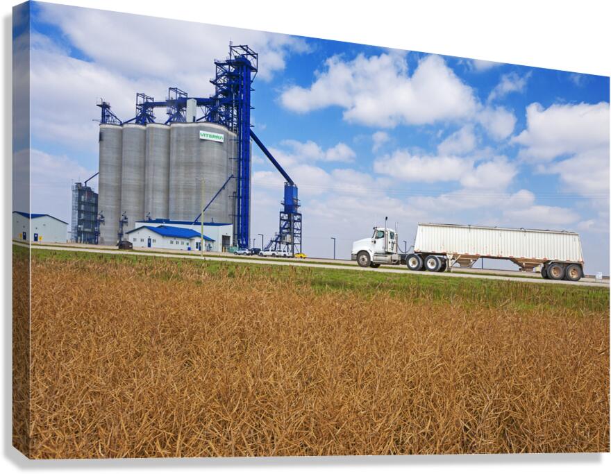 Hauling Crop Canvas Print